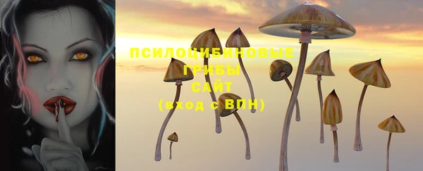 тгк Армянск