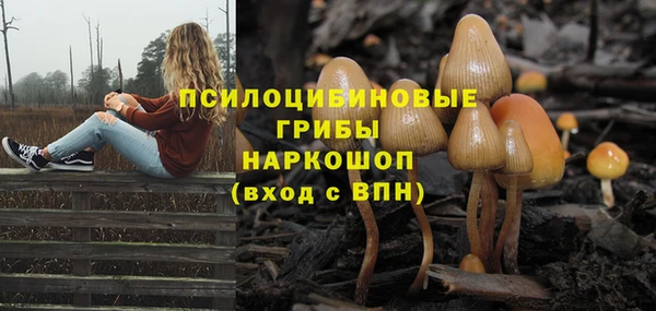 винт Аркадак
