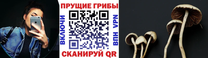 купить наркотики цена  Козьмодемьянск  блэк спрут ссылки  Галлюциногенные грибы прущие грибы 